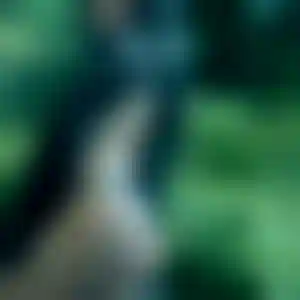 Foto von Claudia