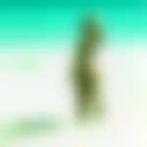 Foto von Josefine