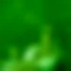 Foto von Viktoria