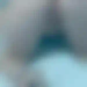 Foto von Nina