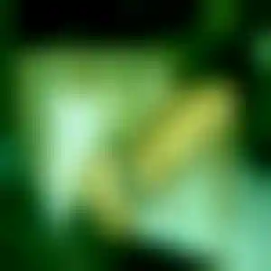 Foto von Silke