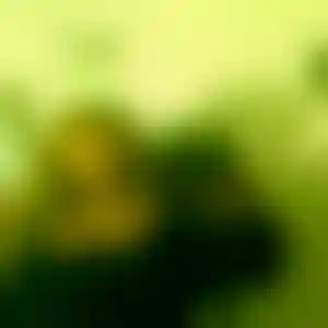 Foto von Paula