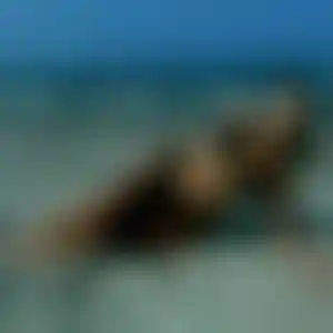 Foto von Elke