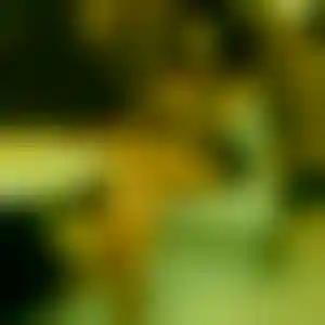 Foto von Manuela