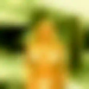 Foto von Beate