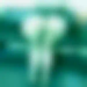 Foto von Hanna