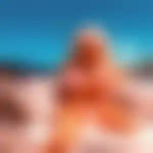 Foto von Anita