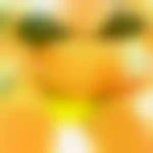 Foto von Elke