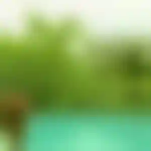 Foto von Paula