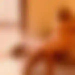 Foto von Zoe