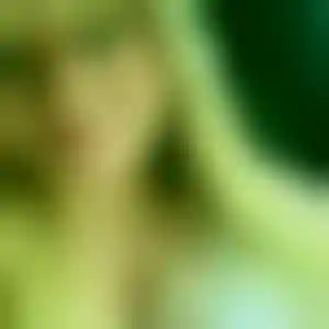Foto von Katharina