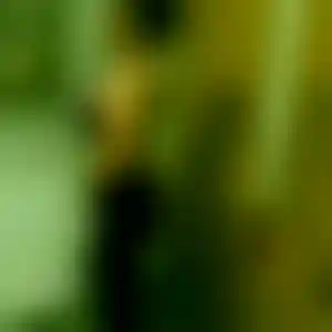 Foto von Leonie