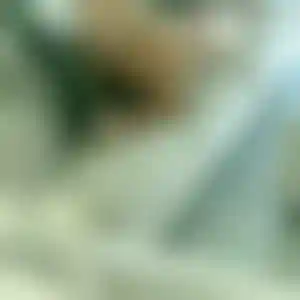 Foto von Simone