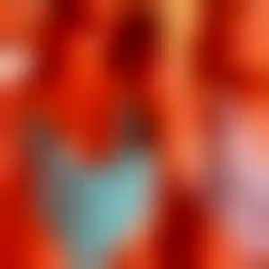 Foto von Melissa