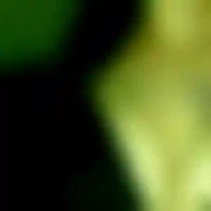 Foto von Manuela