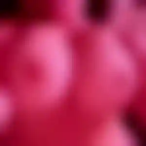 Foto von Paula