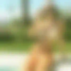 Foto von Brunhilde