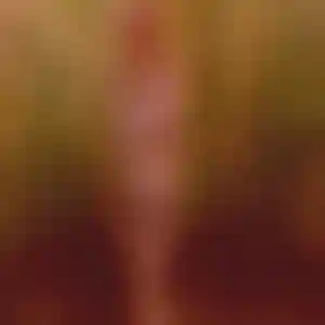 Foto von Zoe