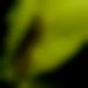 Foto von Ines