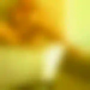 Foto von Manuela
