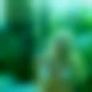 Foto von Regine