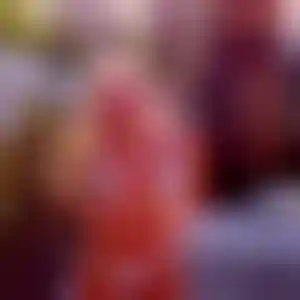 Foto von Sophie