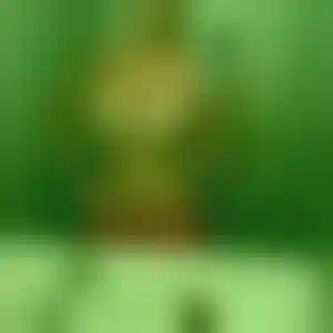 Foto von Lina