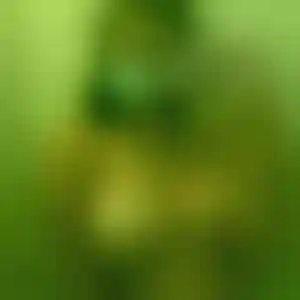 Foto von Ursula