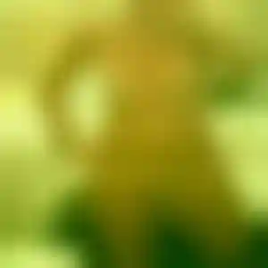 Foto von Carola
