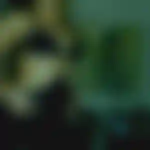 Foto von Jana