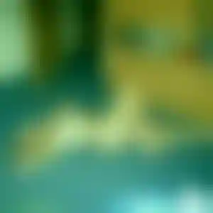 Foto von Heike