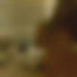 Foto von Anna